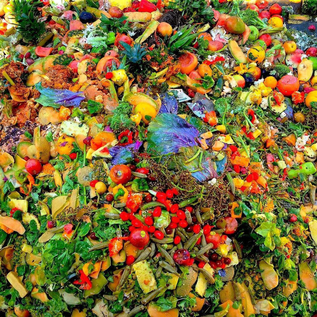 Food waste in grass Food waste in grass